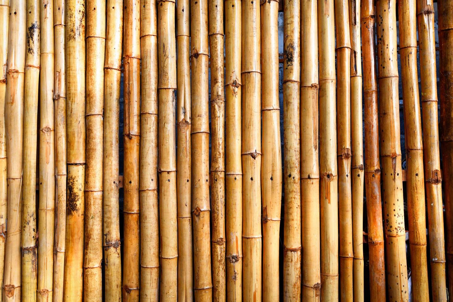 Fence bamboo texture - bamboo background photo