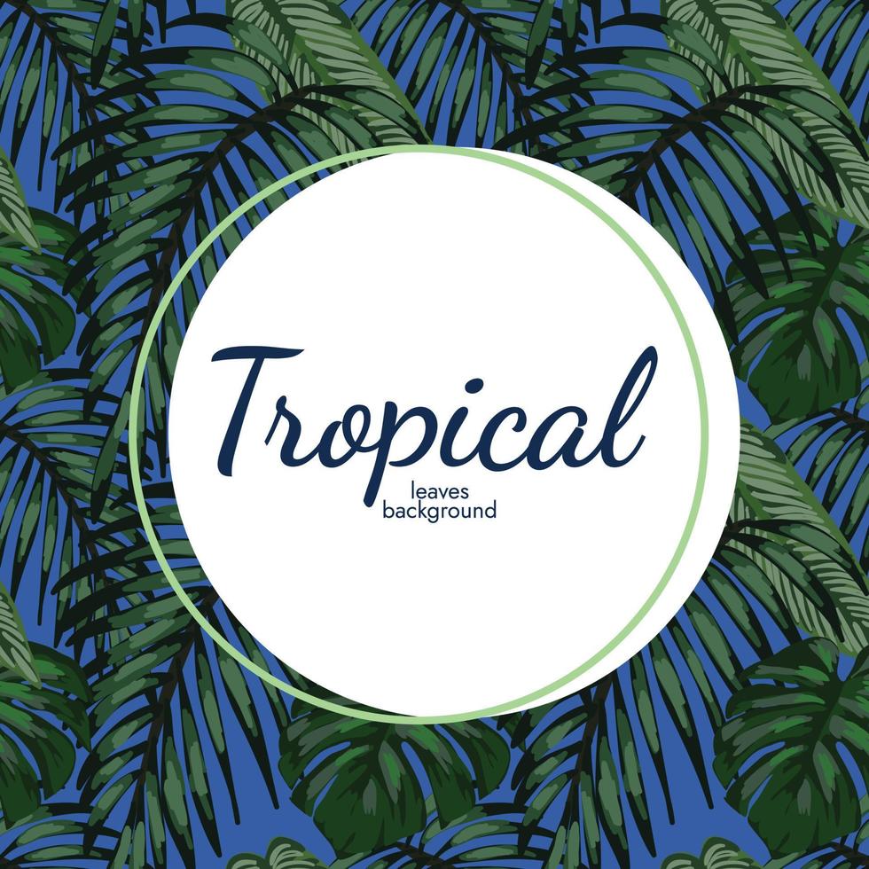 vector de diseño de banner tropical de ambiente de playa