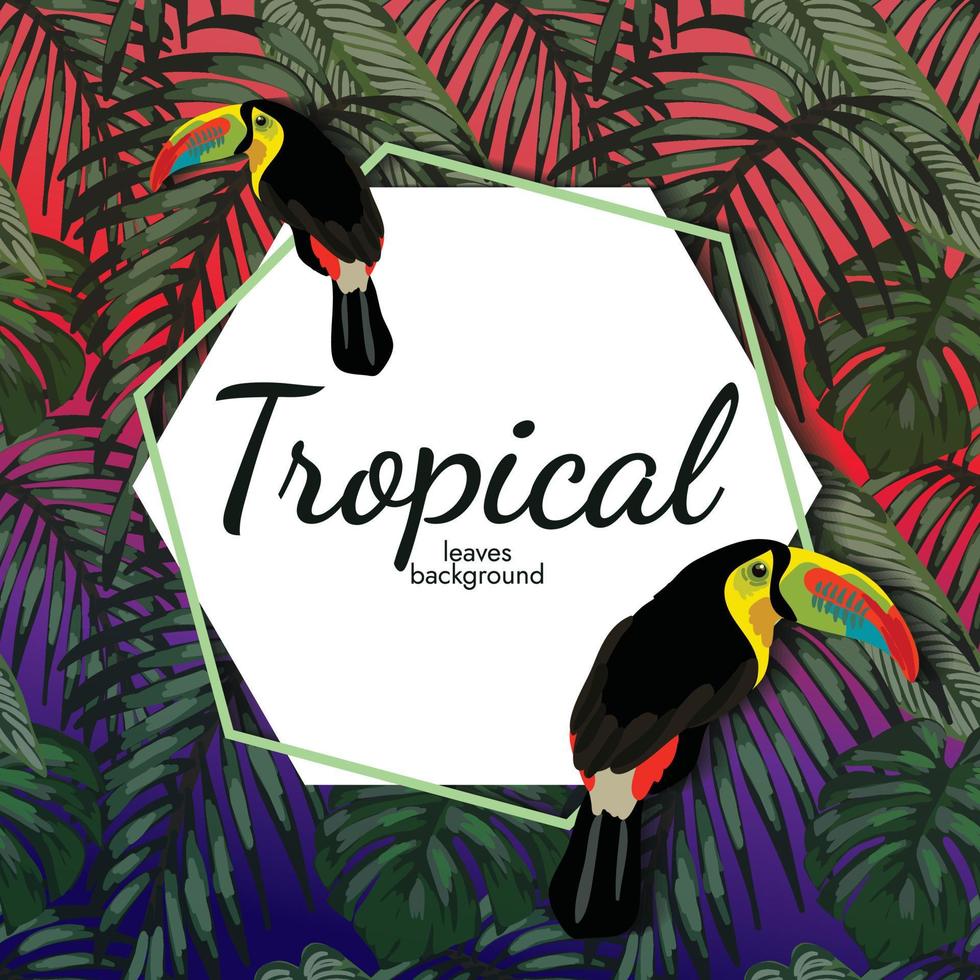 cute tropical bird banner design vector