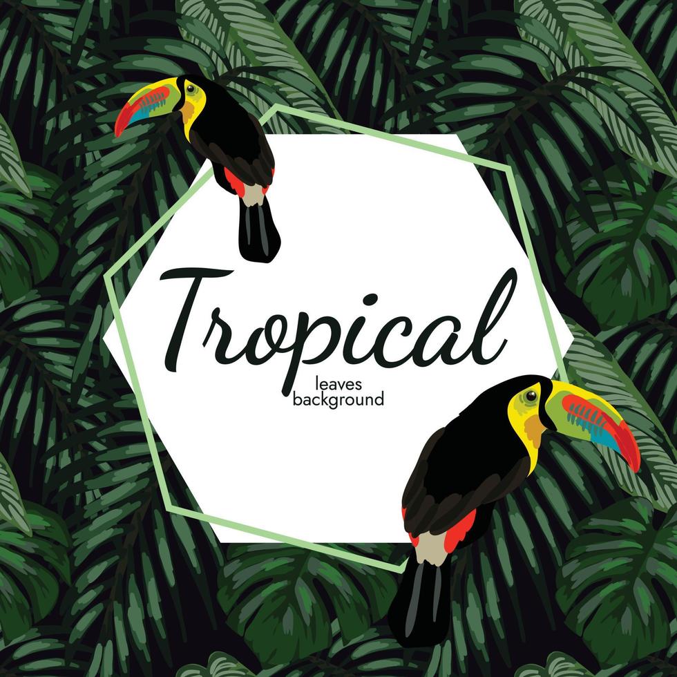 vector de diseño de banner tropical dibujado a mano