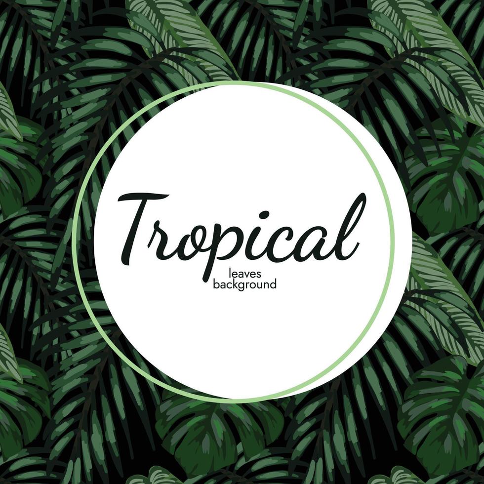 diseño de banner tropical de ambiente de playa vector