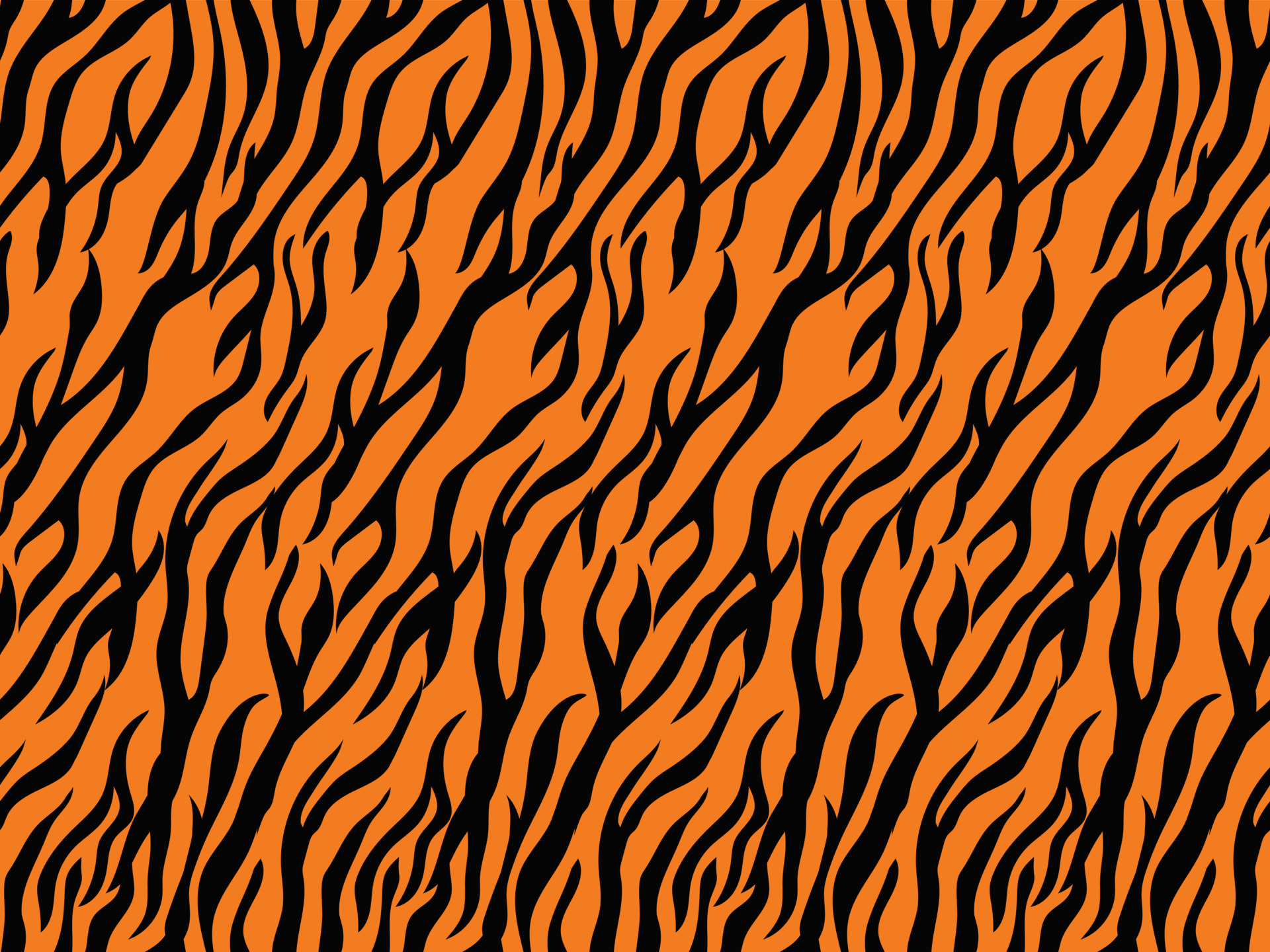 tiger skin animal print fashion collection background zoo safari