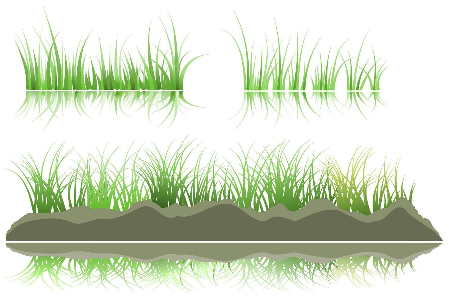 grass reflection on water vector