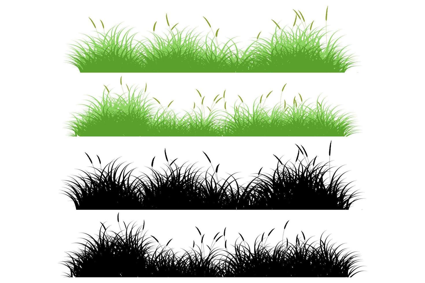 hierba de pradera conjunto de hierba larga vector