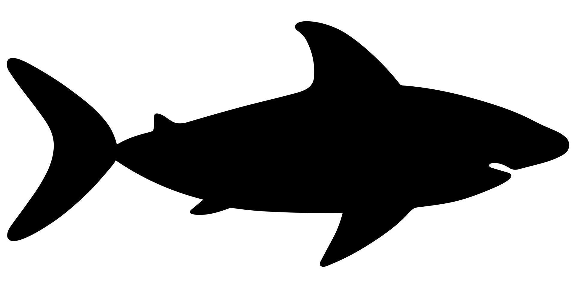 tiburón. silueta. ilustración de stock vectorial. fondo blanco aislado. grandes peces marinos depredadores. estilo plano monstruo submarino con mandíbula dentuda. peligroso habitante de las profundidades. vector