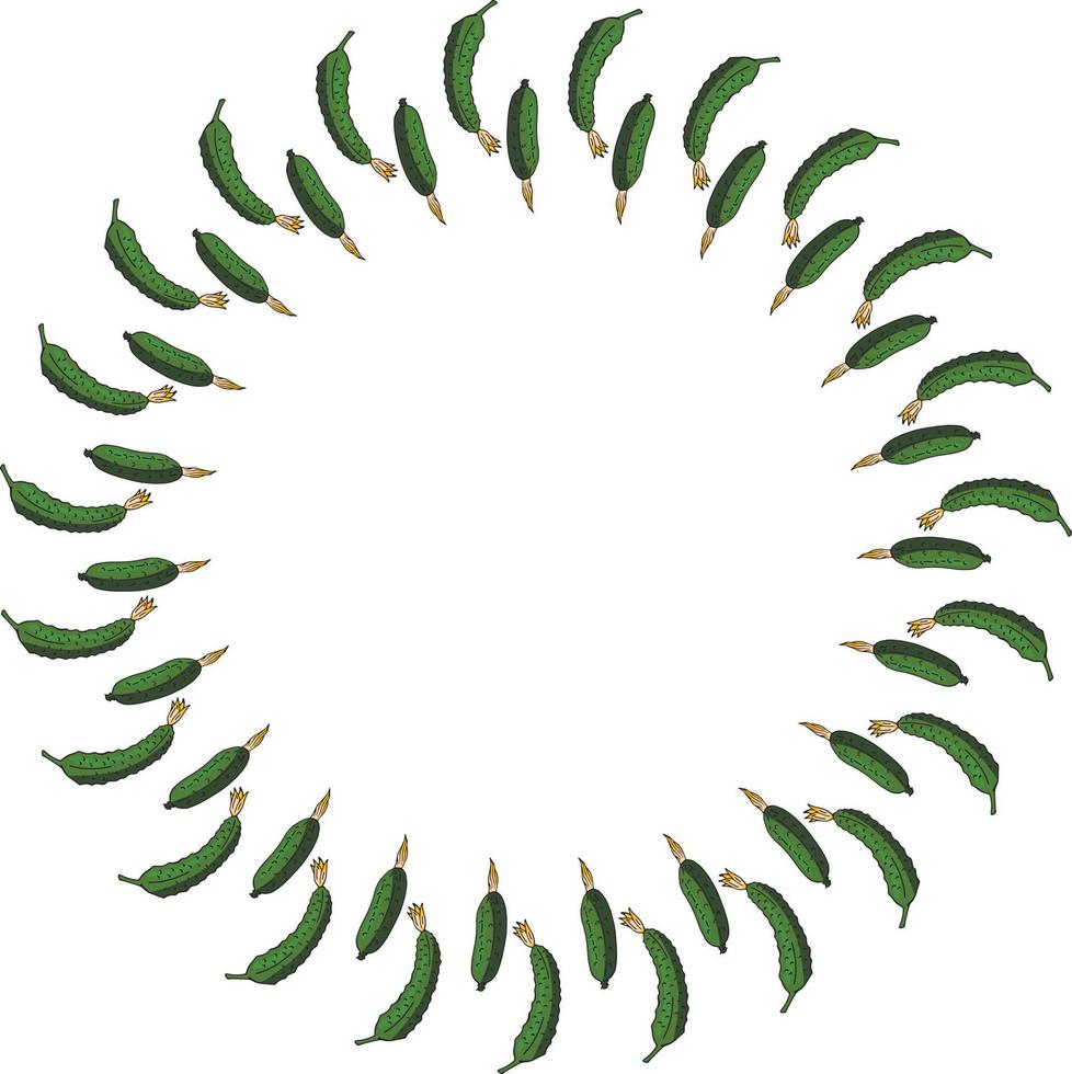Round frame with vertical green cucumber. Isolated wreath on white background for your design vector