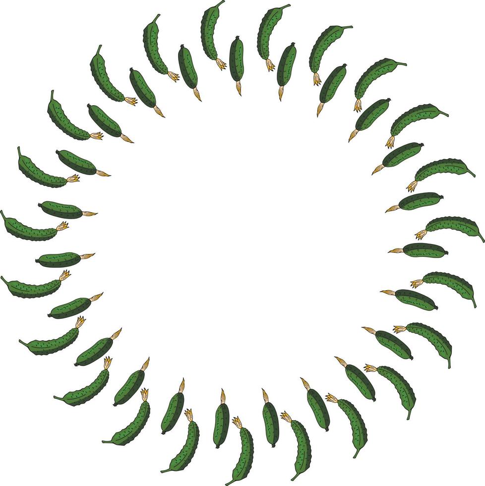 Round frame with vertical green cucumber. Isolated wreath on white background for your design vector