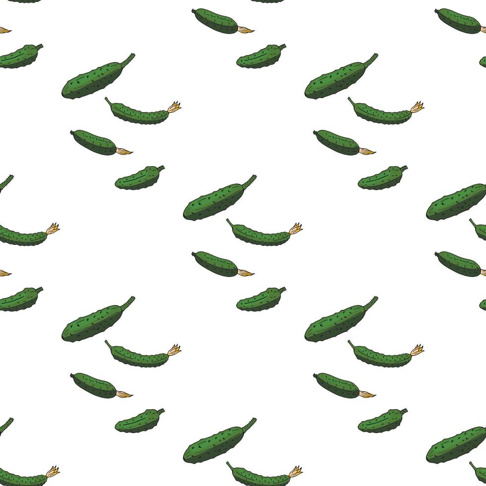 Seamless background with green cucumbers on white background. Endless pattern for your design. Vector. vector