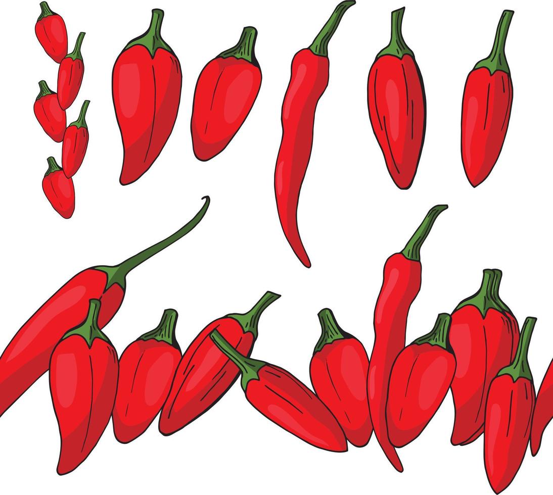 Seamless brush of red chili peppers, patterned brush and isolated peppers themselves separately. Convenient elements on white background for your design. vector