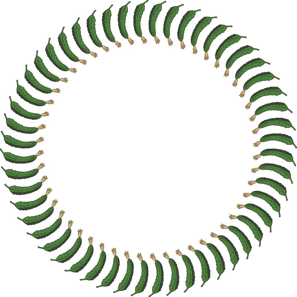 Round frame with vertical beautiful cucumber. Isolated wreath on white background for your design vector
