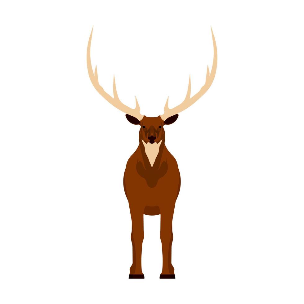 Elk vector illustration icon front view. Wildlife deer mammal art nature with horn. Antler head cartoon forest fauna zoo