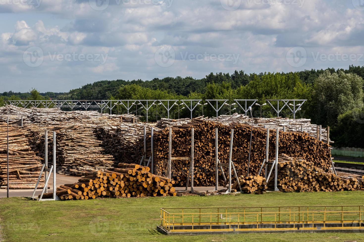 almacén de leña, pilas de leña, pila de leña. primer plano de fondo de madera en la planta de procesamiento de madera foto