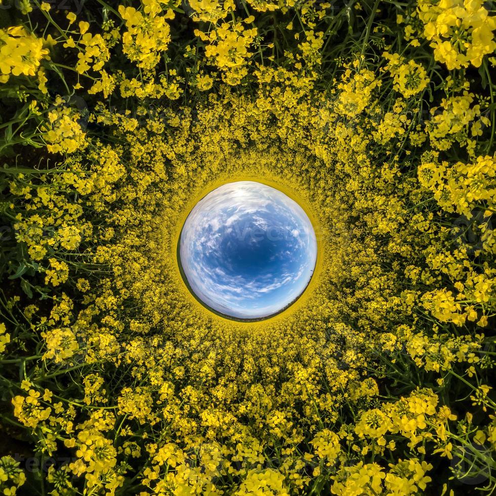 inversion of Little planet transformation of spherical panorama 360 degrees. Spherical abstract aerial view in rapeseed field with awesome beautiful clouds. Curvature of space. photo