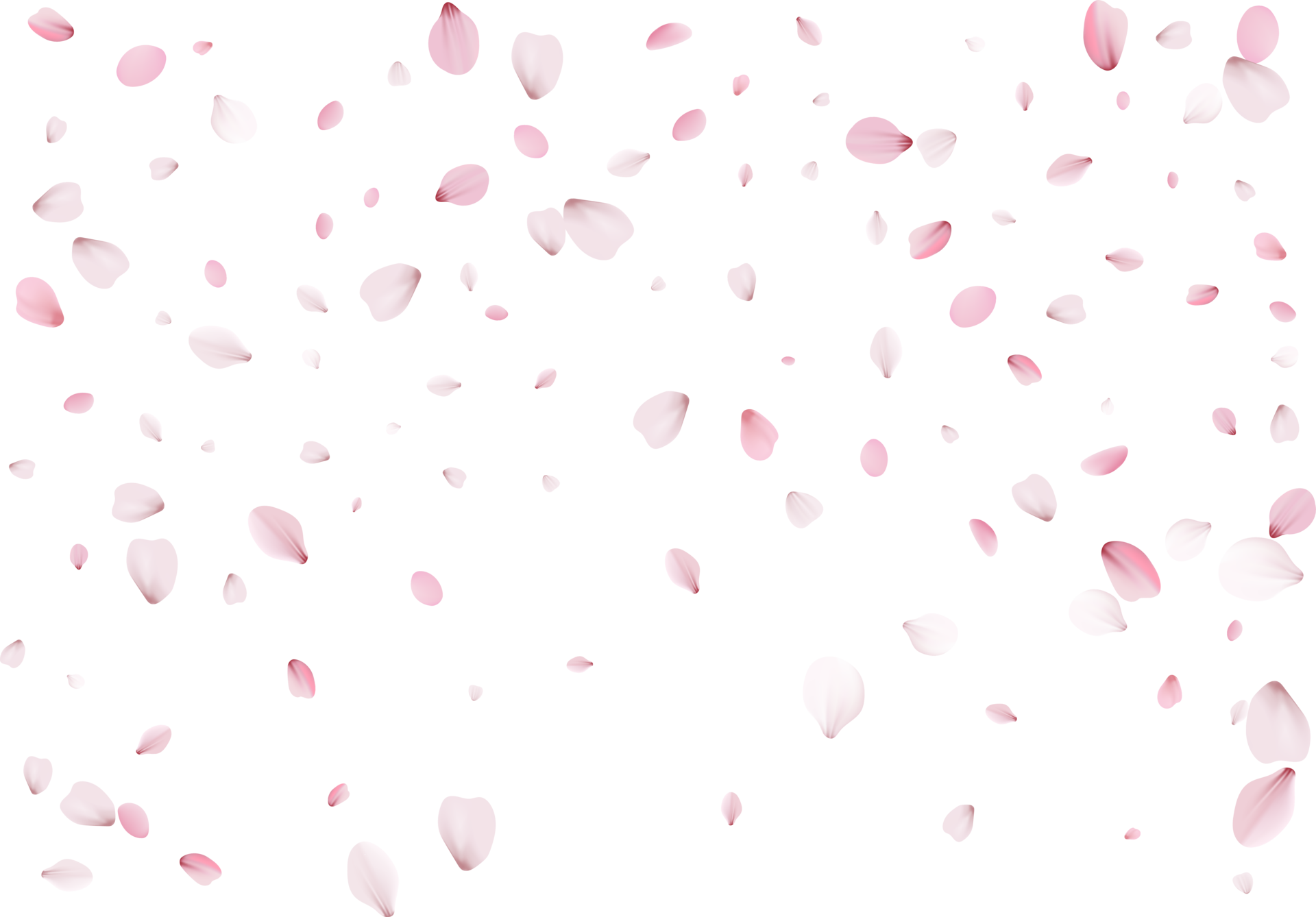 4. Sakura Hauno Nail Color in "Petals and Pink" shade - wide 7