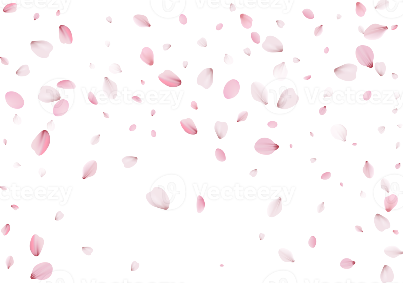 pétales de sakura rose png