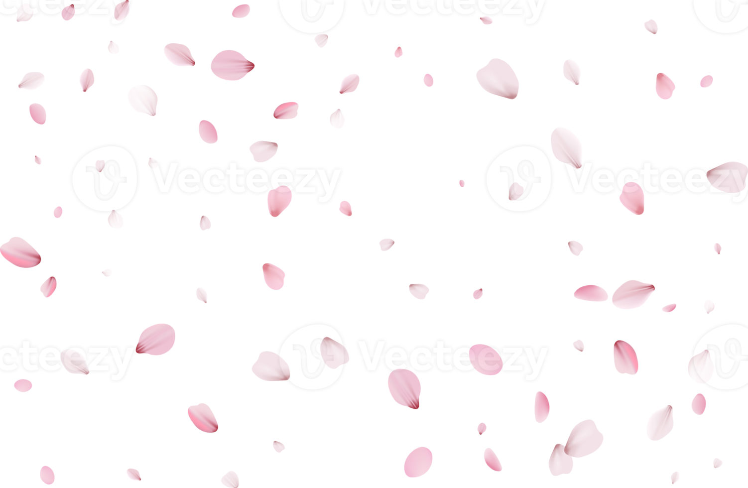 Pink Sakura petals png