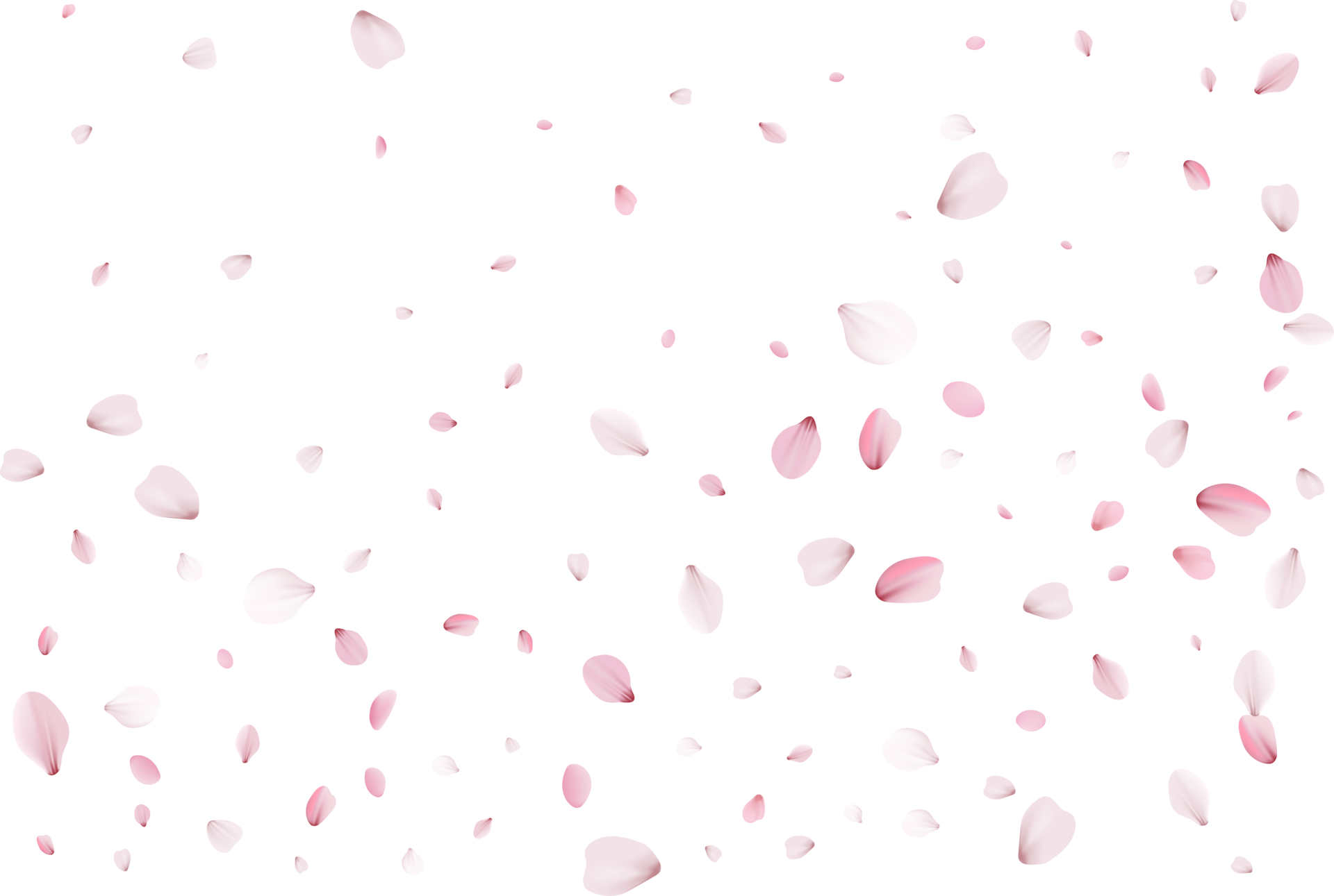 pink-sakura-petals-10898295-png
