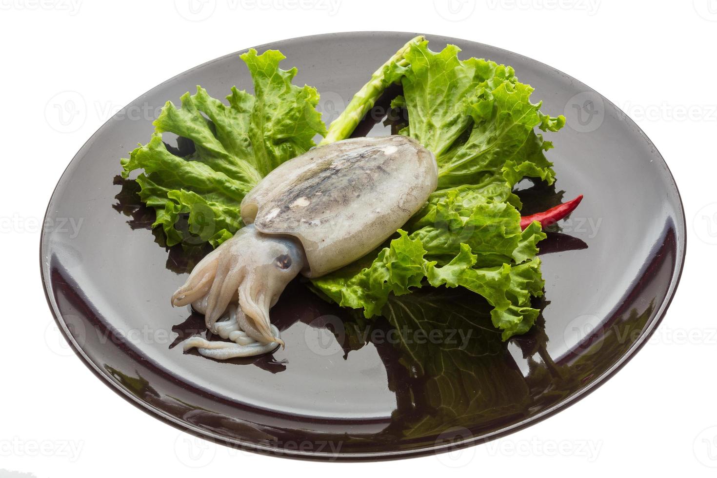 Raw cuttlefish on the plate and white background photo