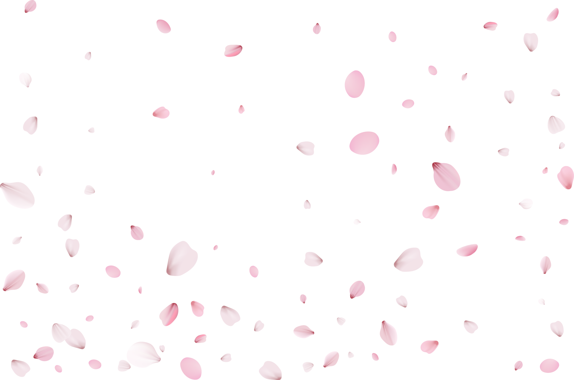 Pink Sakura petals 10898498 PNG
