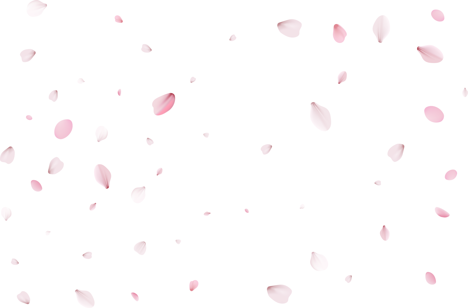 Pink Sakura petals 10898629 PNG