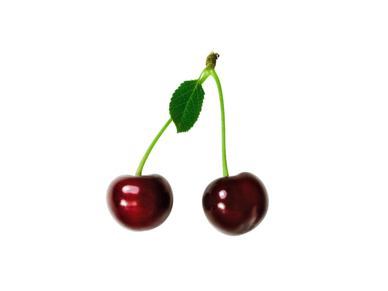 Two cherry isolated on white background photo