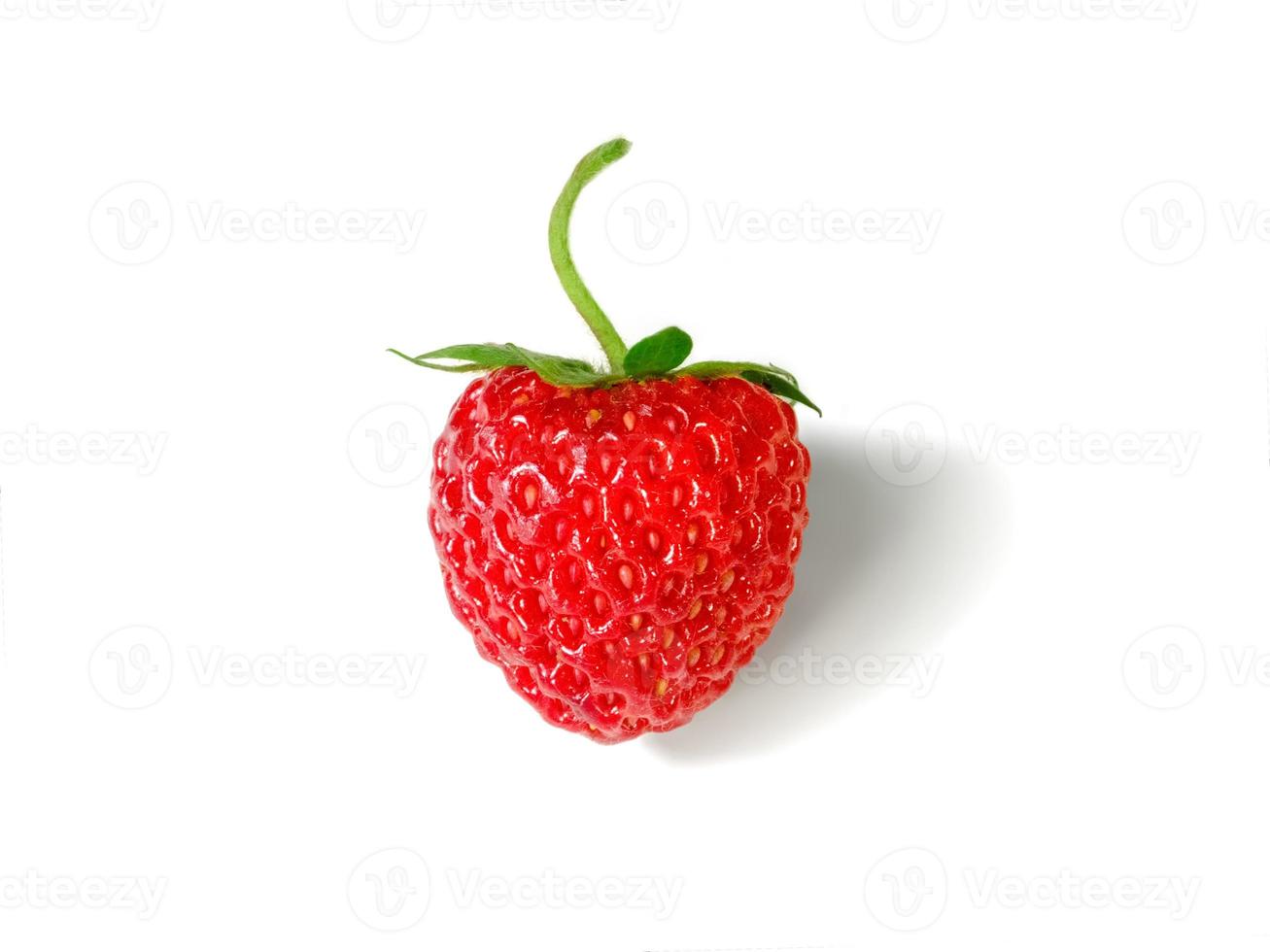 The red strawberry isolated on white background photo