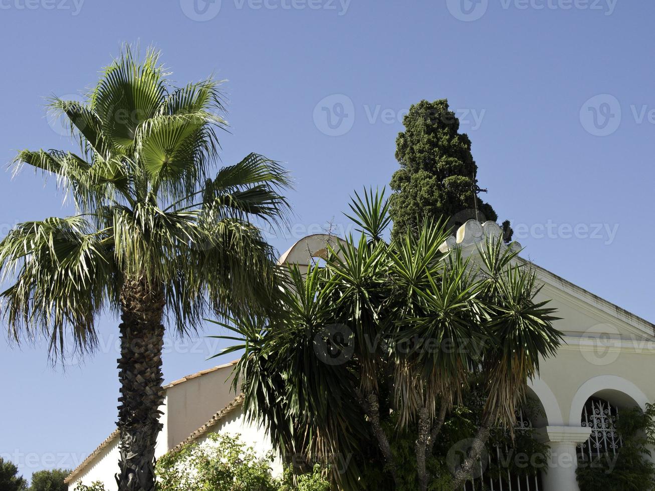 sanary sur mer photo