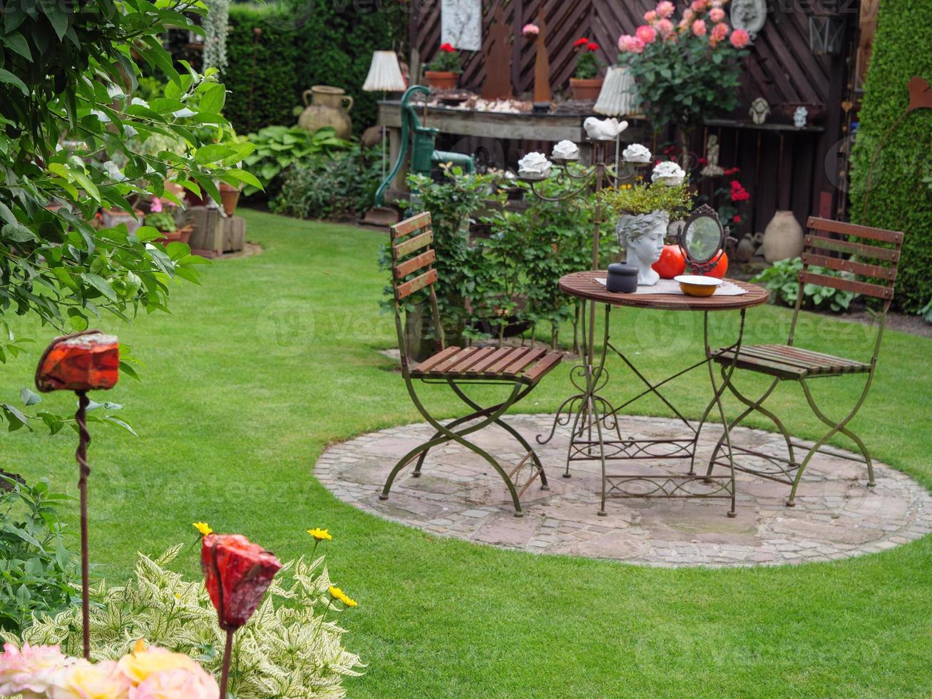 bleeding flowers in a german garden photo