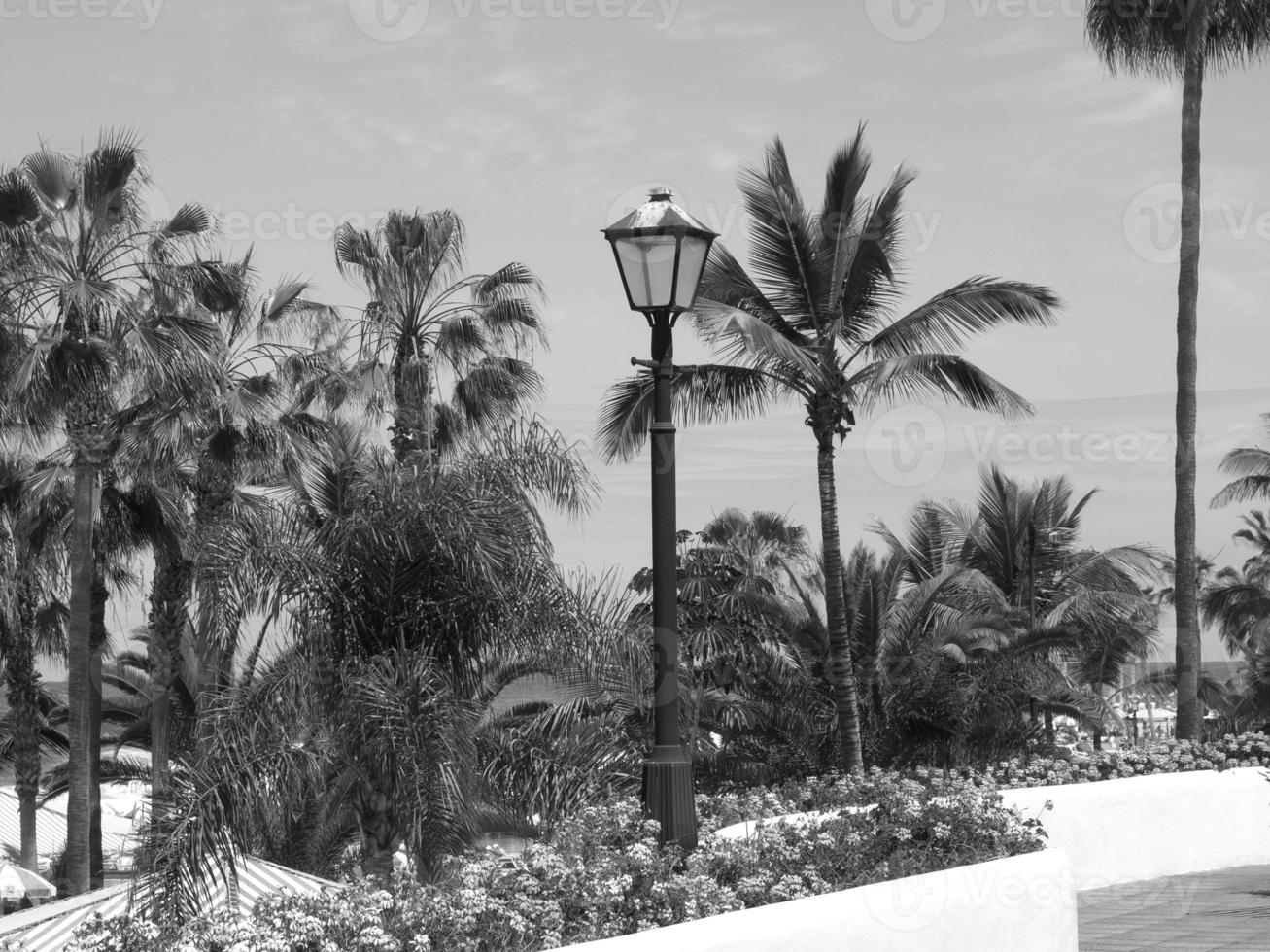 la isla de lanzarote foto