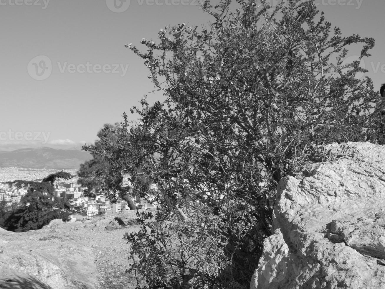 Athens in greece photo