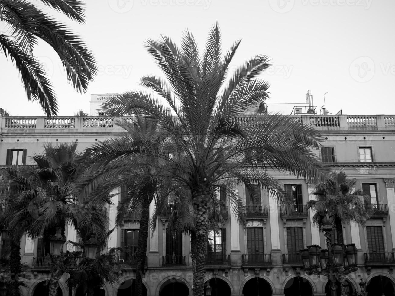 barcelona in spain photo