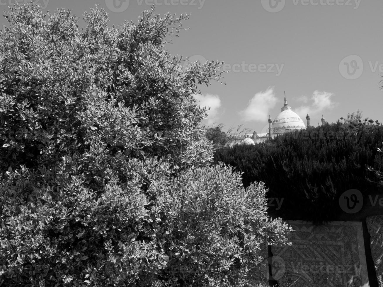 tunis in Africa photo