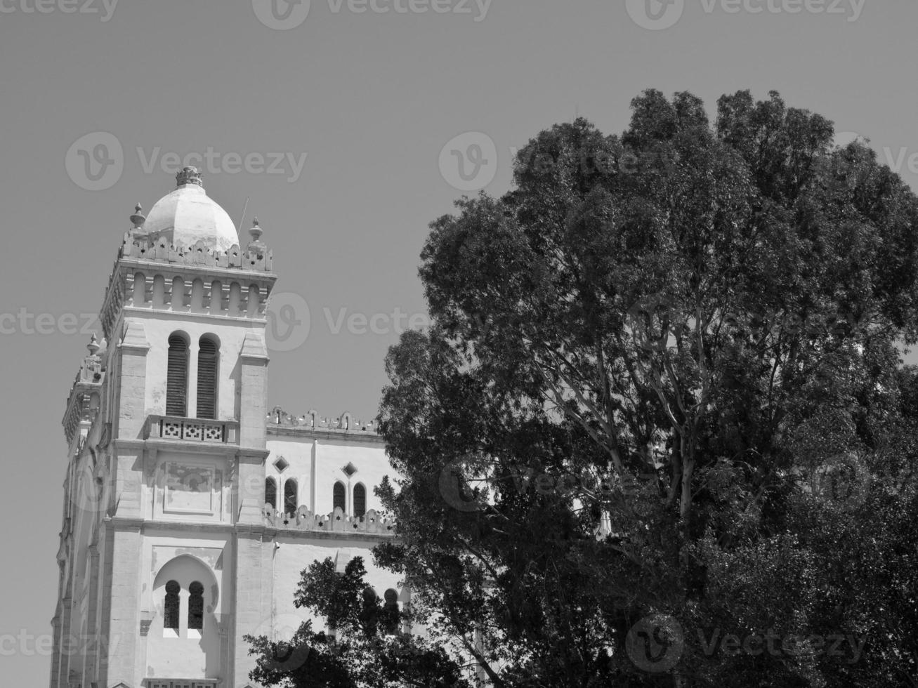 tunis in tunisia photo