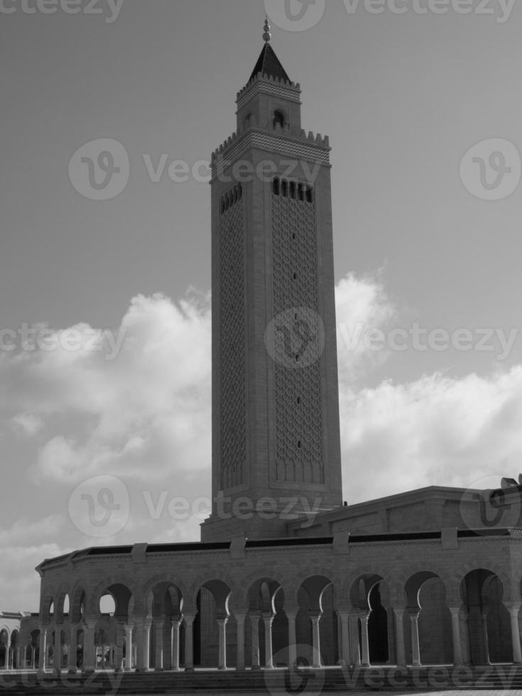 the city of tunis photo