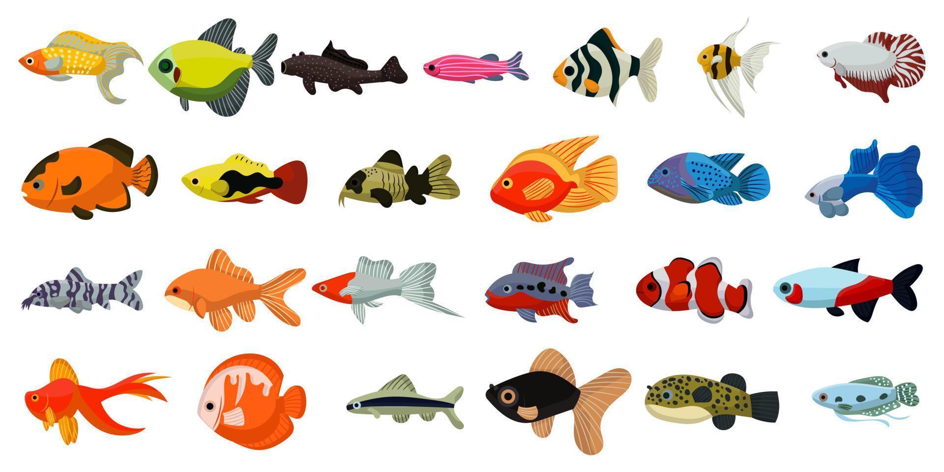 Peces tropicales de acuario y colección linda de océano de dibujos animados. animales de arrecifes de coral marinos e ilustración de vectores submarinos. peces marinos coloridos de agua y un icono de mascota exótico decorativo. mariscos submarinos