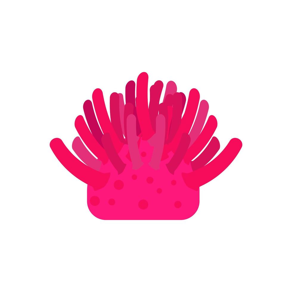 Sea urchin nature wildlife design colorful symbol environment vector icon. Reef element underwater marine