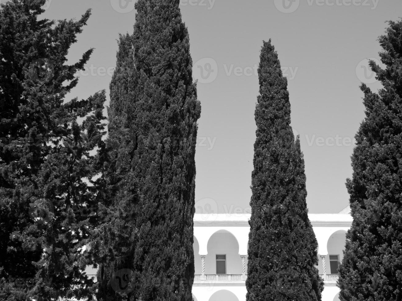 tunis in Africa photo