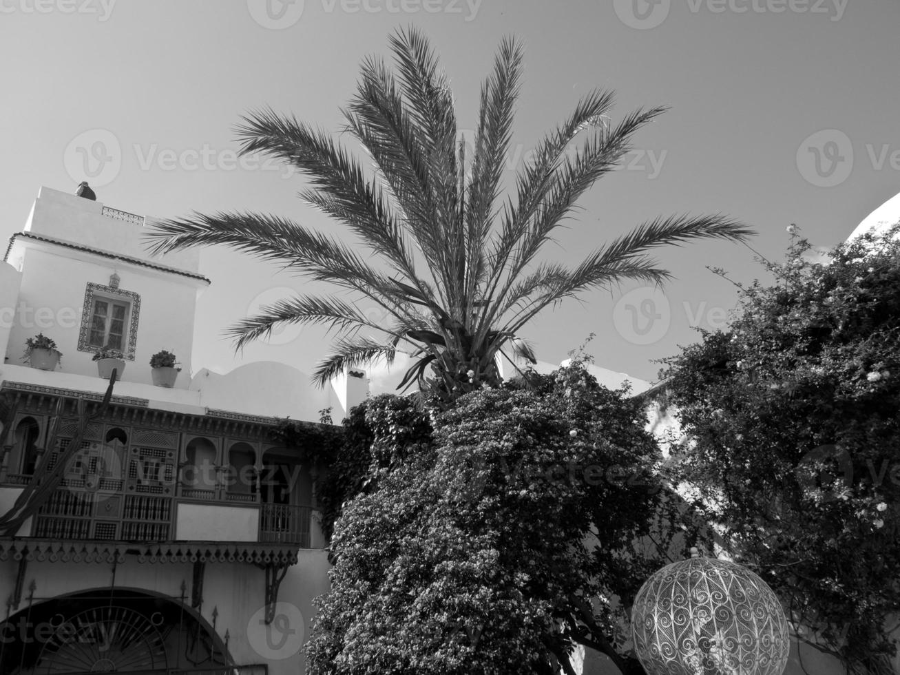 the city of tunis photo