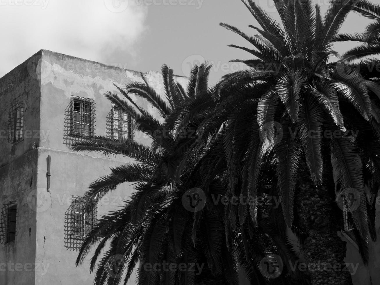 the city of tunis photo