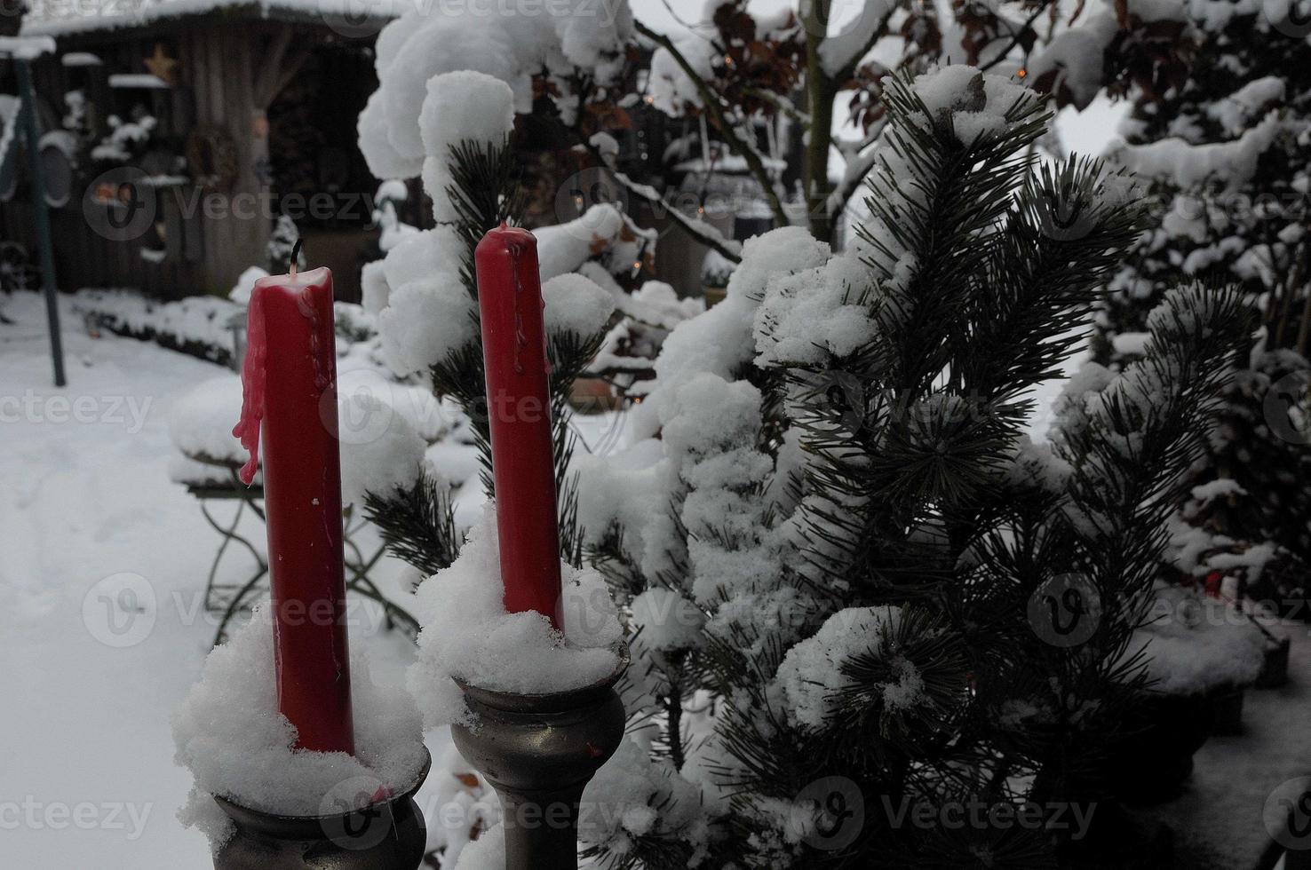 winter time in a german garden photo