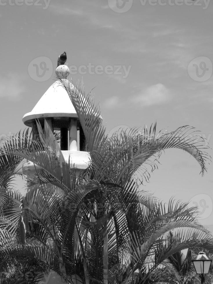 the island of lanzarote photo