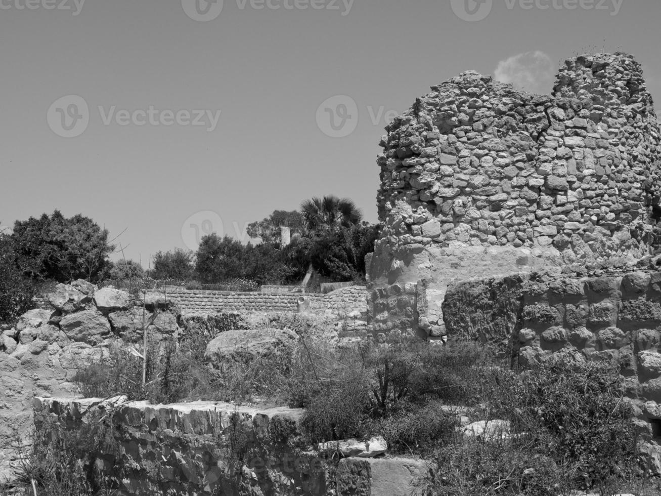 tunis in Africa photo