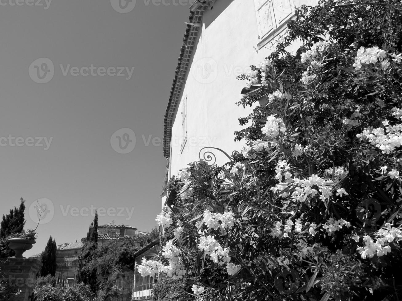 Le castellet in france photo