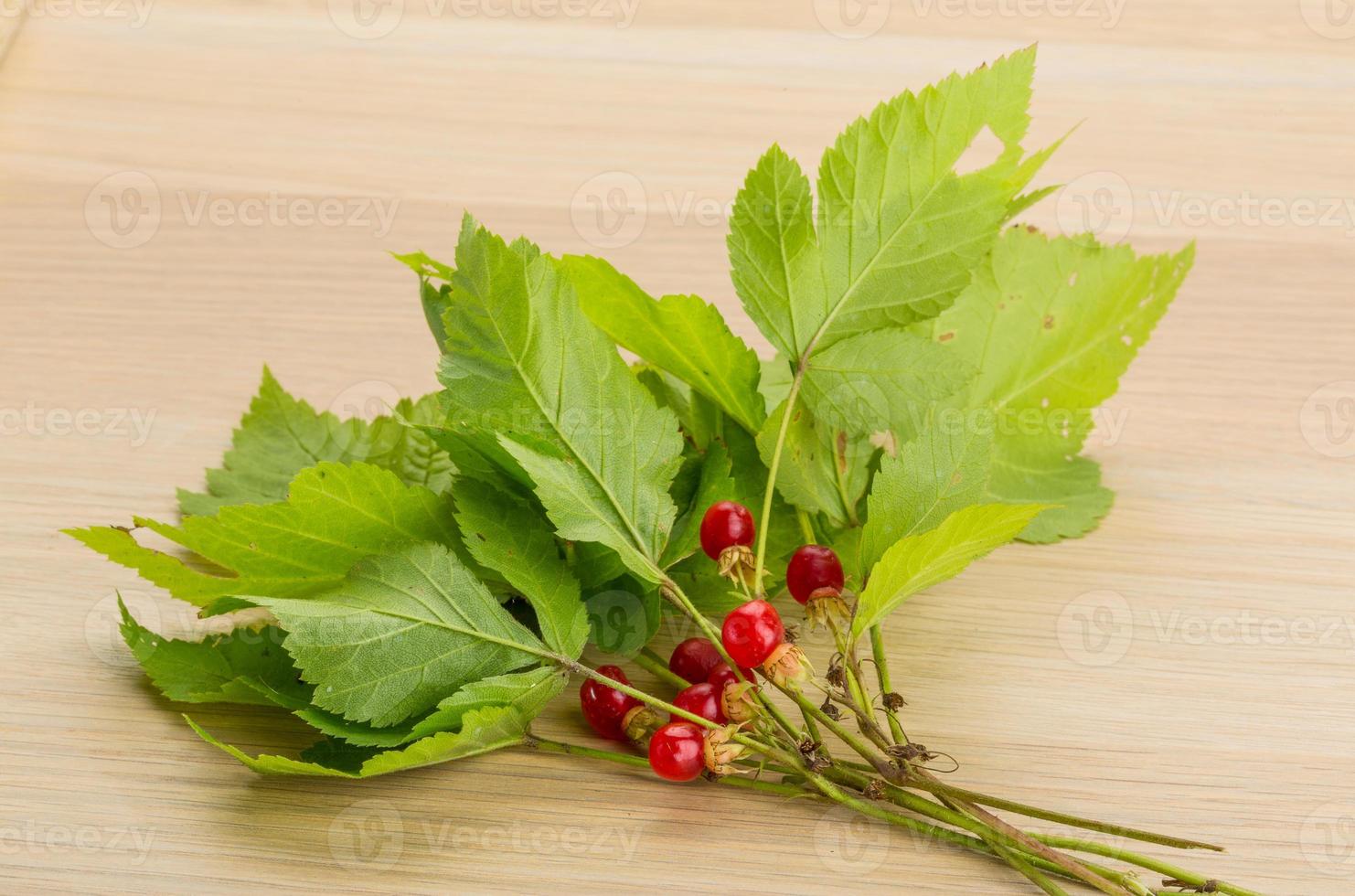 Stone bramble on wooden background photo