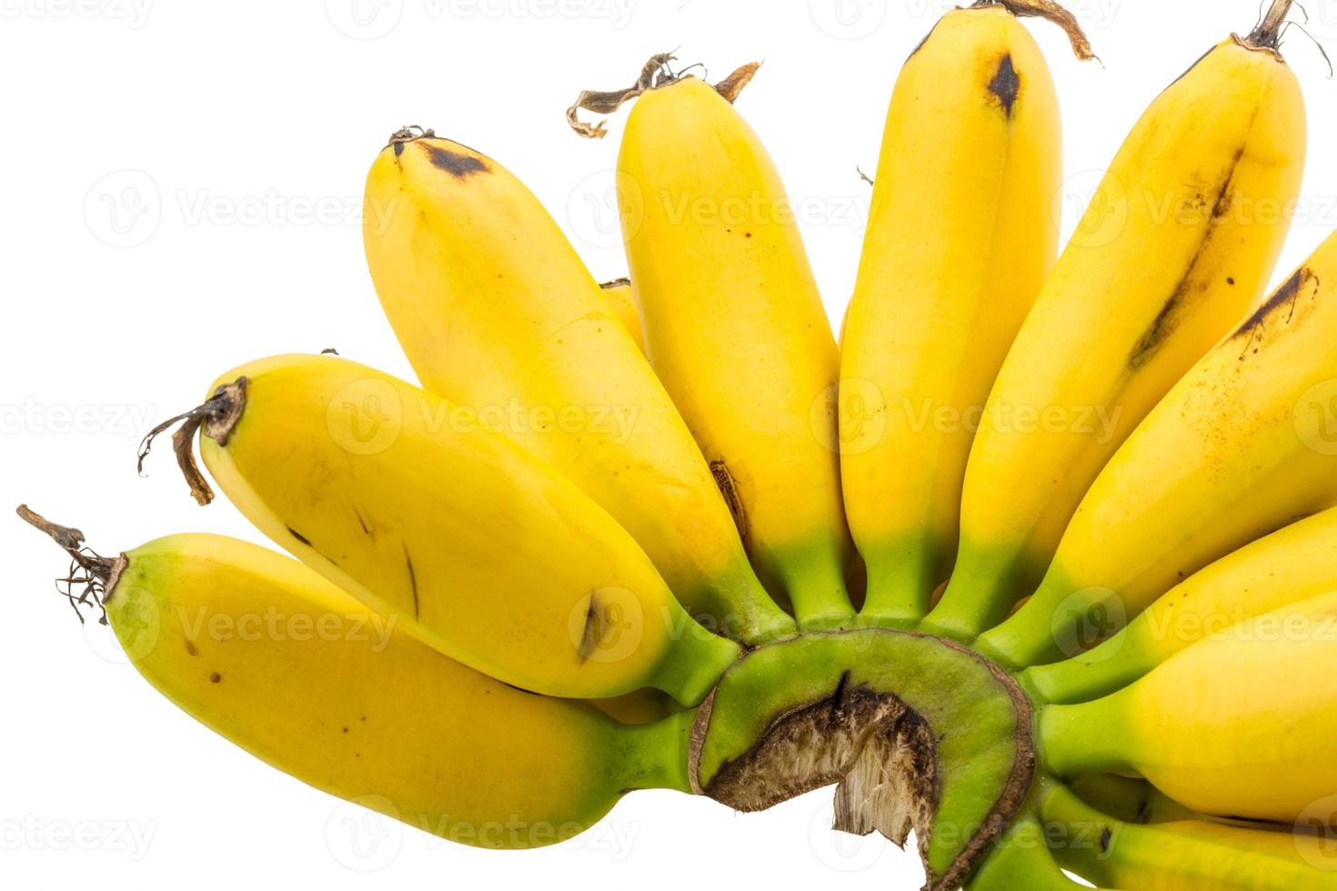 plátano bebé en blanco foto