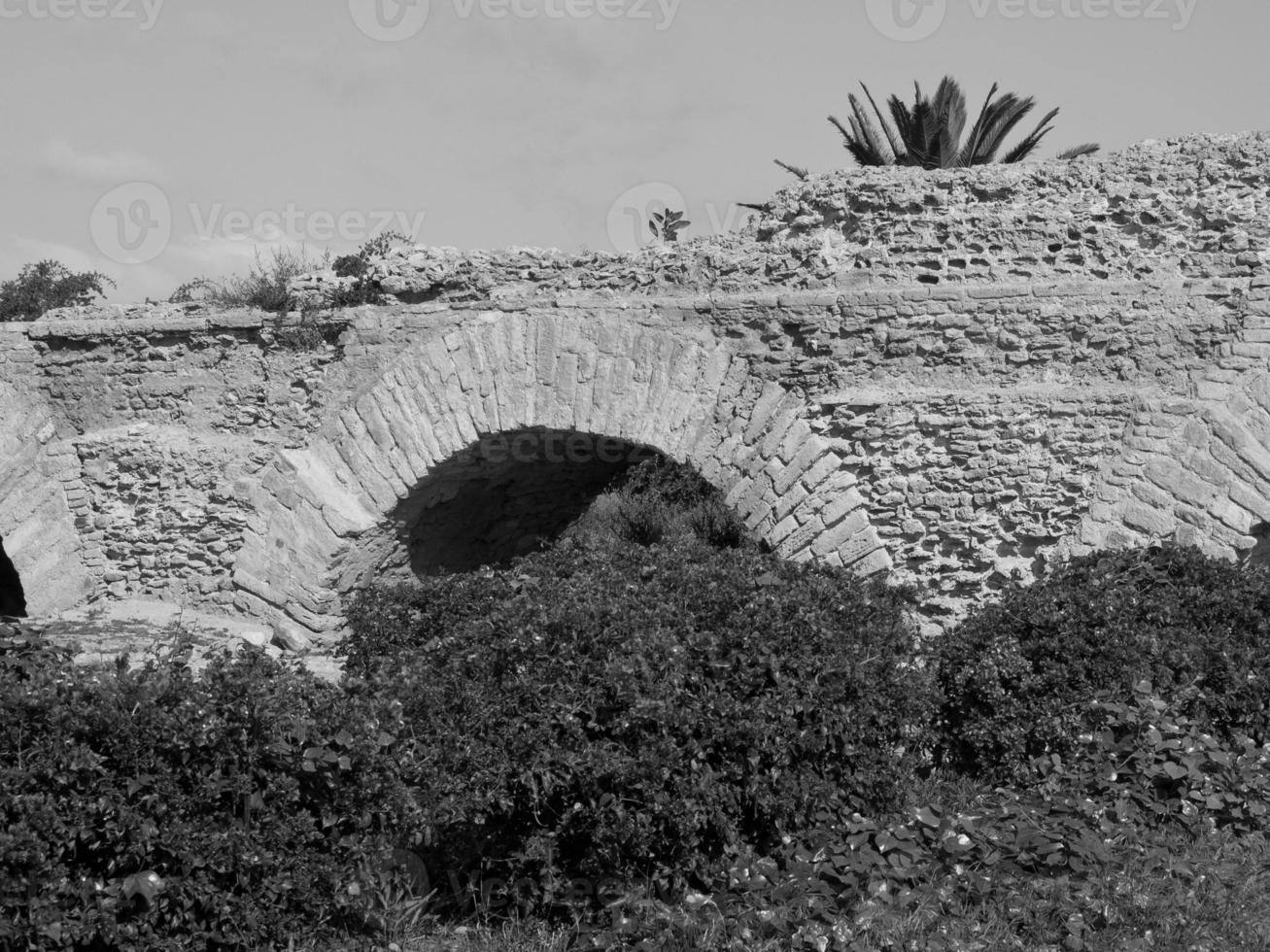 tunis in tunisia photo