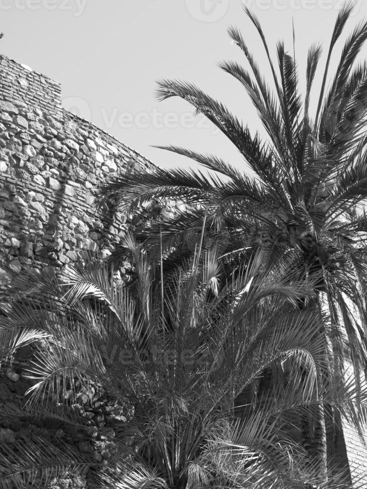 malaga in spain photo