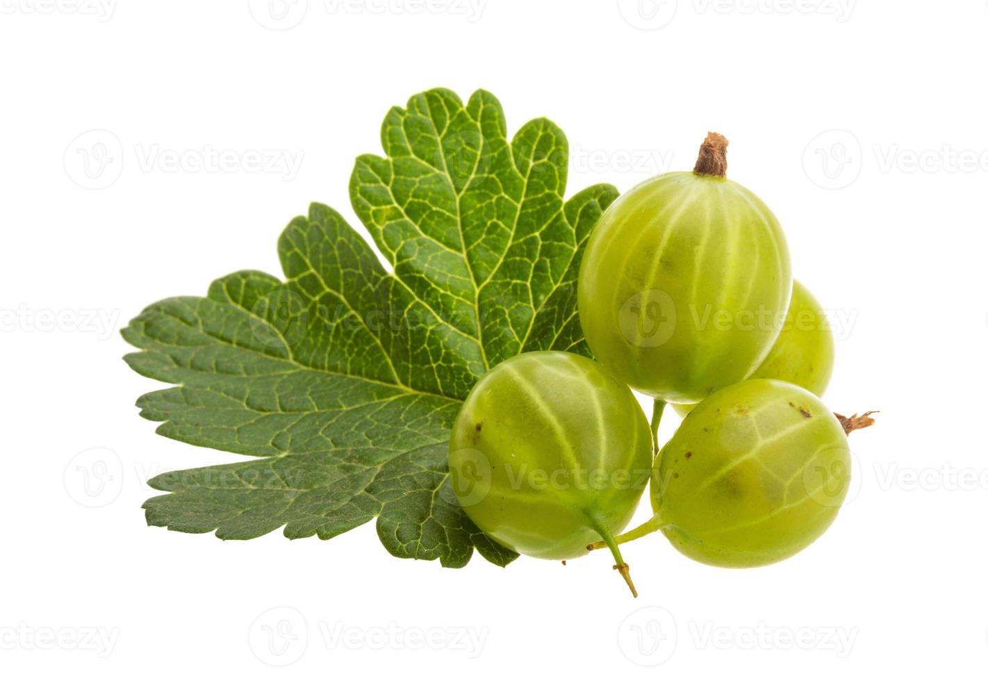 Gooseberries on white background photo