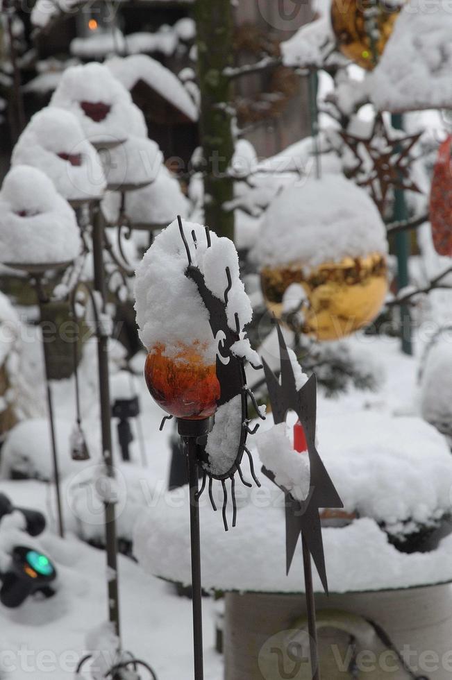 nieve en el jardin foto