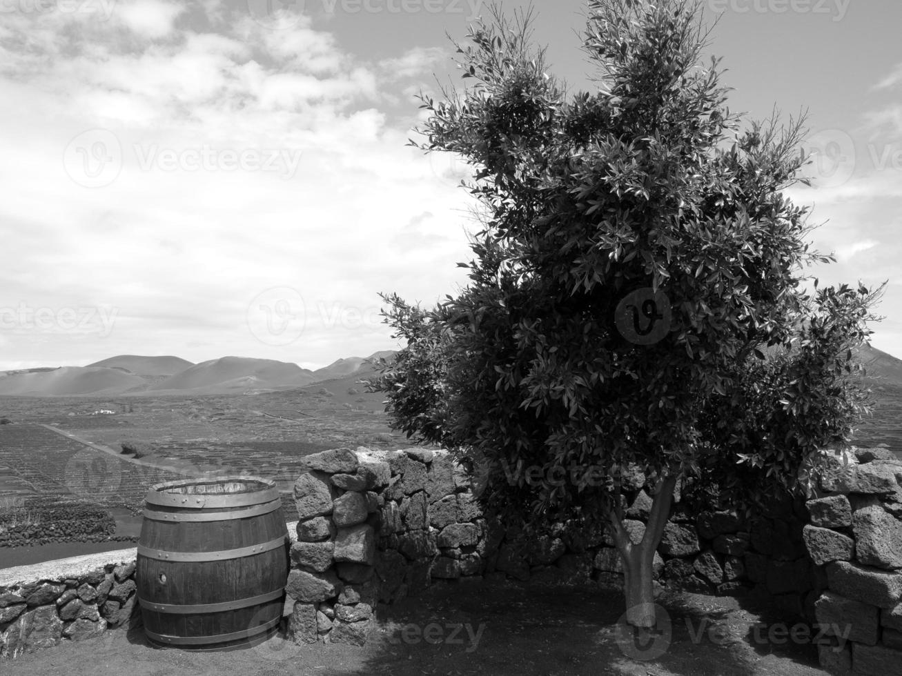 lanzarote en españa foto